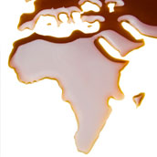 Oil