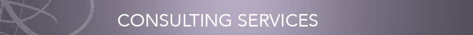 Consulting Services
